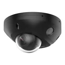 DS-2CD2543G2-LIS2U(2.8mm)(BLACK)