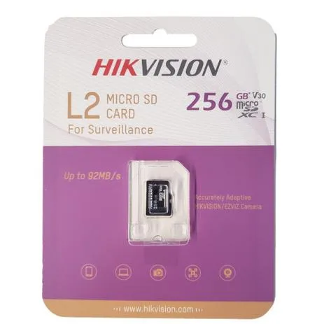HS-TF-L2/256G/P
